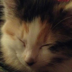 Meet your Posher, Myah